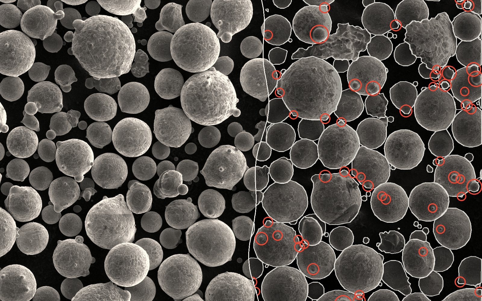 SEM image of metal powder, raw on the left and outlined by the model on the right, satellites circled in red