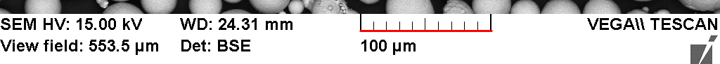 An SEM data bar reading 100 micrometers, with the scale bar found and underlined in red